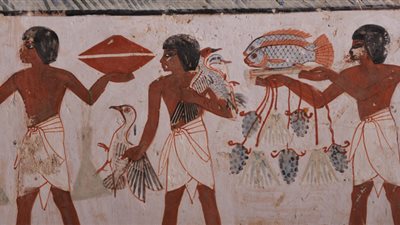 دراسة: قدماء المصريين أول من عرفوا 