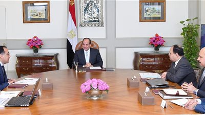 السيسي يناقش مستجدات برنامج القضاء على فيروس «سي»