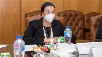 العناني وفؤاد يبحثان سبل دعم السياحة البيئية