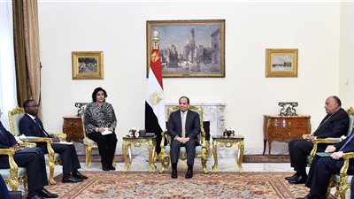 السيسى يستقبل وفداً سياسياً رفيع المستوى من جمهورية الكونغو الديمقراطية