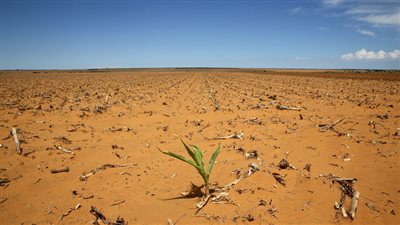 الاحتفال باليوم العالمي لمكافحة الجفاف والتصحر غدًا