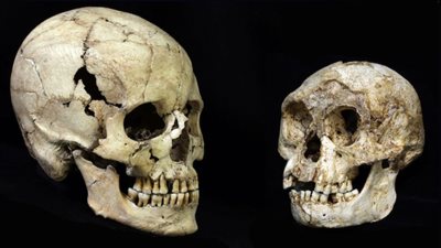 اكتشاف فصيلة من الإنسان القزم في جزيرة إندونيسية