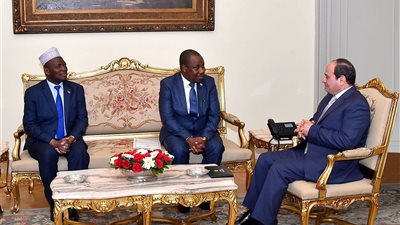 السيسي يبحث مع وزير خارجية بوروندي ‎ملف مياه النيل