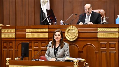 السعيد: خطة 21-2022 تستهدف توفير 950 ألف فرصة عمل