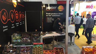 غدًا.. 73 شركة مصرية تشارك فى معرض «فروت لوجيستيكا» ببرلين