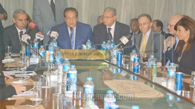 طارق قابيل: نعمل على وضع حلول نهائية لأزمات الصناعة