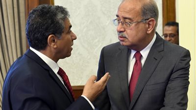 مجلس الوزراء يوافق على تخصيص قطعتي أرض لمصلحة بني سويف