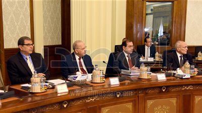 الحكومة تقرر إنشاء صندوق تمويل برنامج شركات الدولة