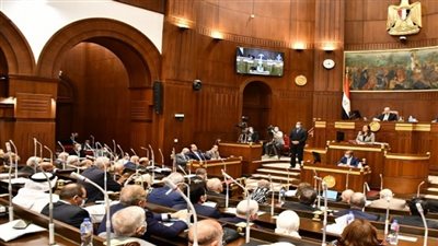 «الشيوخ» يوافق نهائيا على قانون إنشاء صندوق الطوارئ الطبية