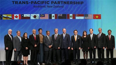 مصر تحصل على صفة عضو مراقب في تحالف المحيط الهادئ