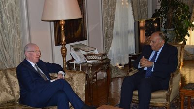 جلسة مشاورات سياسية بين وزير الخارجية ونظيره الأيرلندي بالقاهرة