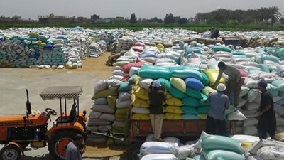 التموين: حملات على صوامع القمح المحلي للتأكد من الكميات المستلمة 