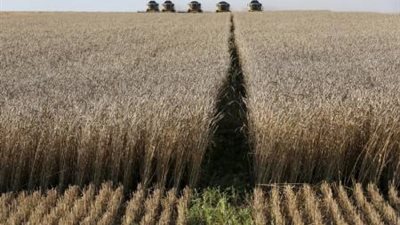 تجار: توتر العلاقات بين روسيا وتركيا يكبح صفقات القمح الجديدة