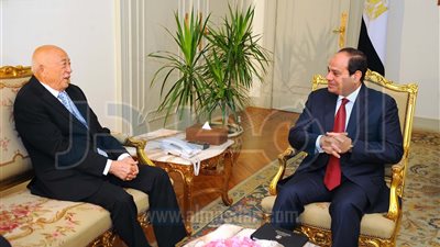 تفاصيل لقاء السيسي وعضو 