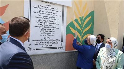 وزيرة البيئة: تلوث الهواء بالقاهرة الكبرى يكلف الدولة 47 مليار جنيه سنويا