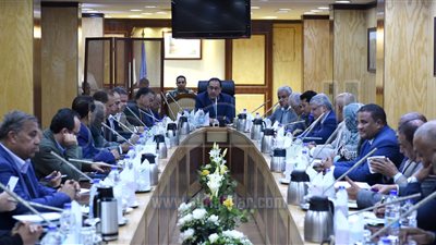 رئيس الوزراء يبحث مع «نواب أسوان» رفع كفاءة البنية الأساسية بالمحافظة