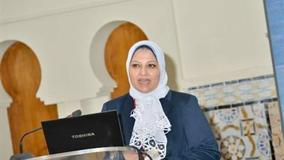 188 مليون جنيه قيمة إنشاء محطة محولات سمنود الجديدة