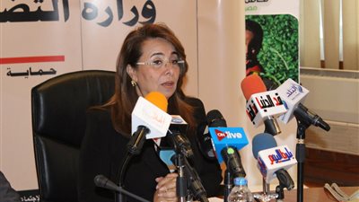 وزيرة التضامن: لن نتمكن من صرف المعاشات قبل إجازة العيد لأسباب تقنية