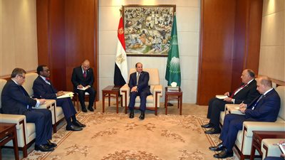 السيسي يبحث مع رئيس «الأفريقي للتنمية» التعاون في المجالات التنموية