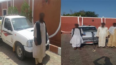 المتحدث العسكري: ضبط 230 مهاجرا غير شرعي وتدمير 6 أفدنة مخدرات (صور)