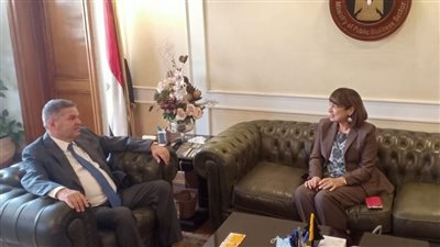 وزير قطاع الأعمال يستقبل المنسق المقيم للأمم المتحدة في مصر