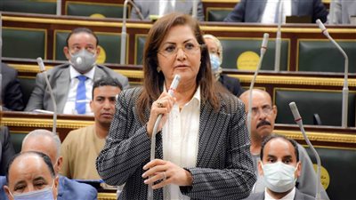 43 مليار جنيه استثمارات قطاع الكهرباء و245 مليار جنيه للنقل في خطة «21-2022»