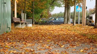 الأرصاد: فصل الخريف يبدأ 23 سبتمبر