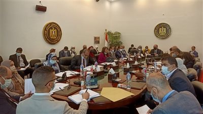 المشاط تعقد اجتماعًا لإعداد اللجنة المشتركة بين مصر وجنوب السودان