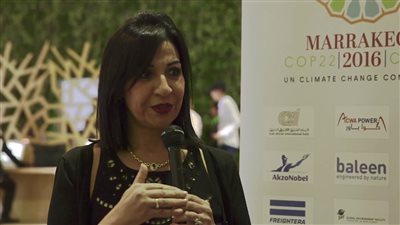 العربي الإفريقي: مؤتمر الشمول المالي يرسخ دور مصر في تفعيل التمويل المستدام