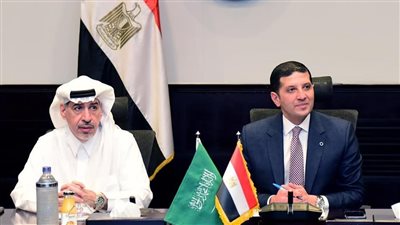 «الاستثمار»: الهيئة حريصة على دعم الاستثمارات السعودية في مصر