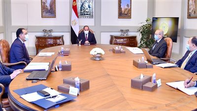 السيسي يوجه بمواصلة تنفيذ خطة توصيل الغاز الطبيعي للوحدات السكنية