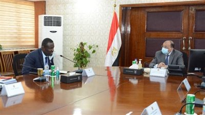 شعراوي يبحث مع «مجالس ومدن» الكاميرون استيراد الأخشاب ودعم صناعة الأثاث