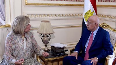 مجلس الوزراء يعلن دعم 