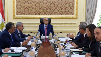 مدينتي الروبيكي والأثاث ودمج القطاعين العام والخاص.. توصيات اجتماع 