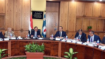 الملا: طرح مزايدات عالمية للبحث عن البترول في صعيد مصر 