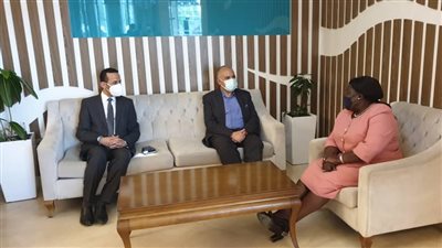 وزير الري: المشروعات المصرية في جنوب السودان تهدف إلى تحقيق التنمية للأشقاء