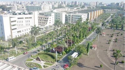 جامعة المنصورة تشارك في ورشة عمل مشاريع الأبحاث التطبيقية بجنيف