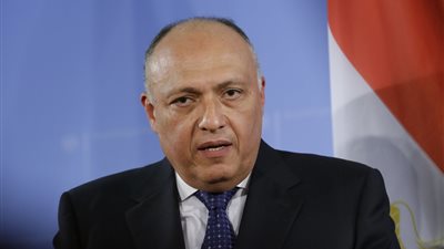 شكري يبحث مع المبعوث النرويجي لعملية السلام المصالحة الفلسطينية