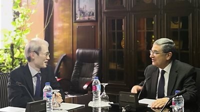 وزير الكهرباء يبحث مع السفير الياباني التعاون في مشروعات الطاقة المتجددة