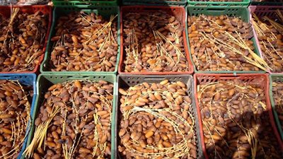 ارتفاع صادرات التمور المصرية إلى 50 مليون دولار في 2018