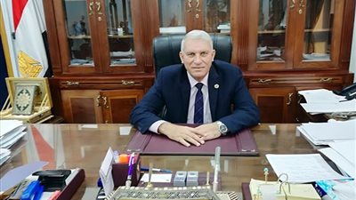 افتتاح المركز اللوجستي بجمارك بورسعيد.. أبريل المقبل