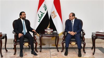 السيسي يؤكد دعم مصر لوحدة العراق واستقراره
