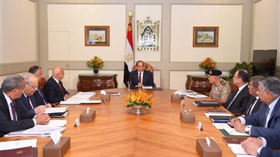السيسي يجتمع مع الحكومة لبحث ملفات الأمن الغذائي واستغلال املاك الدولة