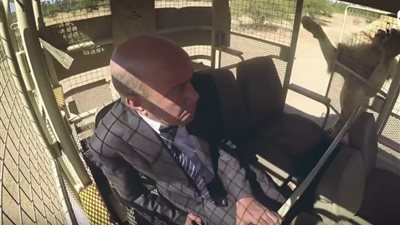 شاهد: الأسد يقتحم سيارة سليمان عيد في أخطر حلقات 