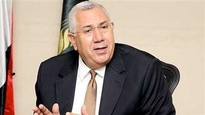 ارتفاع صادرات مصر الزراعية إلى 3.5 مليون طن في 6 أشهر