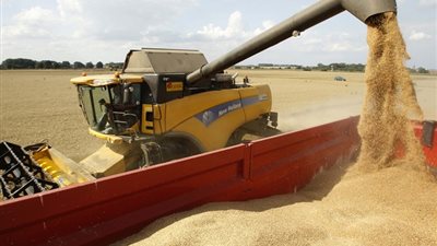 ارتفاع مخزون الغلال بميناء الإسكندرية إلى مليون و21 ألف طن  