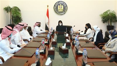 اللجنة المصرية السعودية تُدشن موقعًا إلكترونيًا حول منحة تنمية المشروعات الصغيرة