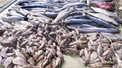 ضبط مدير مجمع مواد غذائية بحوزته كمية من الأرز مجهول المصدر بالقاهرة