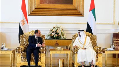تفاصيل لقاء السيسي ومحمد بن زايد في أبو ظبي (صور)