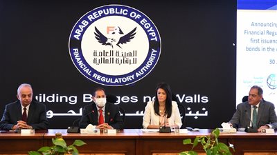 بقيمة 100 مليون دولار.. «الرقابة المالية» توافق على أول إصدار من السندات الخضراء للشركات